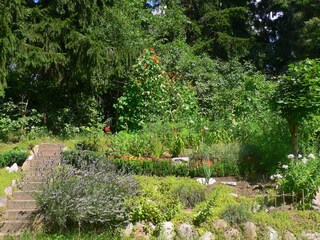 Blick vom Esstisch in den Garten