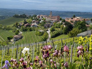 Casa vacanze Cortemilia Ambiente 23