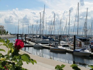 Appartement Wohlenberg Omgeving 17