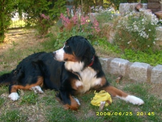 Apartamento Rerik  41