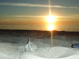 Apartment Rerik Umgebung 49