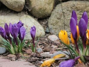 Spazioso appartamento con giardino vicino al mare - Steffenshagen - image1