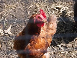 Appartamento Pepelow Ambiente 31