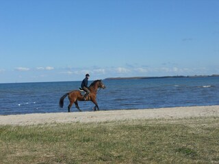 Appartamento Pepelow Ambiente 31