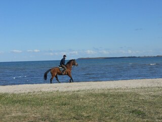 Appartamento Pepelow Ambiente 37