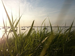 Holiday house Rerik Environment 35