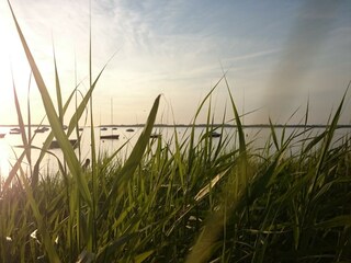 Vakantiehuis Rerik Omgeving 34