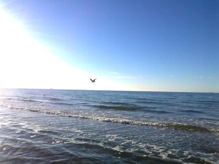 Casa per le vacanze Rerik Ambiente 38