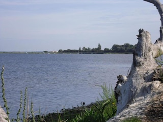 Bungalow Boiensdorf Umgebung 39