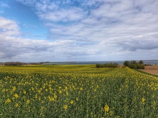 Bungalow Boiensdorf Ambiente 33