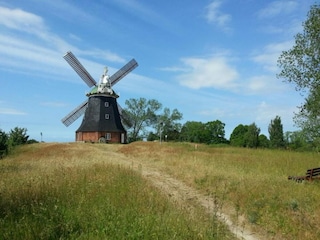 Bungalow Boiensdorf Environment 37