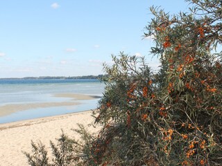 Appartement Groß Walmstorf Environnement 36