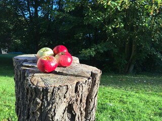 Bungaló Teßmannsdorf  40