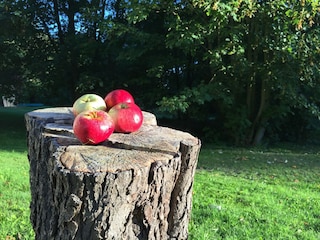 Bungalow Teßmannsdorf  40