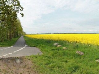 Bungalow Wichmannsdorf Environnement 17