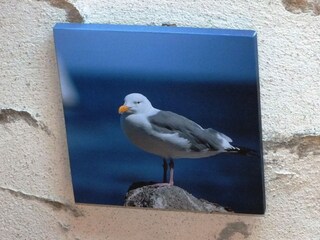 Casa per le vacanze Plovan Caratteristiche 13