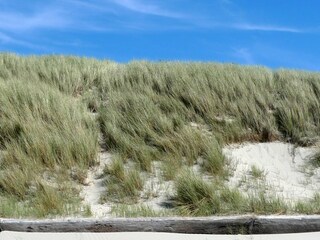 Vakantiehuis Callantsoog Omgeving 32