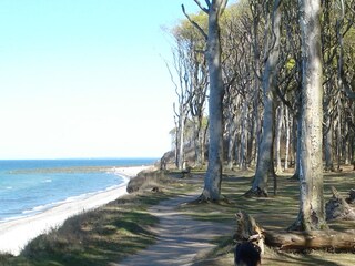 Strandabschnitt an Steilküste