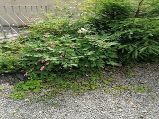 Casa de vacaciones Saint-Hubert Grabación al aire libre 9