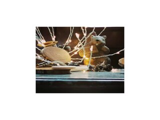 Casa per le vacanze Saint-Hubert Caratteristiche 37