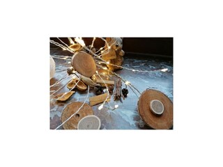 Maison de vacances Saint-Hubert  45