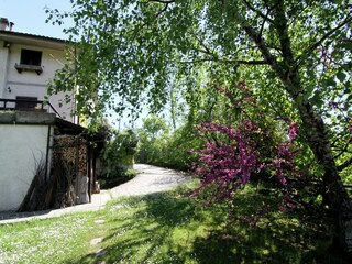 Casa de vacaciones San Marcello Pistoiese Grabación al aire libre 4