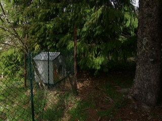 Casa per le vacanze San Marcello Pistoiese Registrazione all'aperto 7