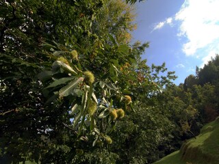 Casa per le vacanze San Marcello Pistoiese Ambiente 29