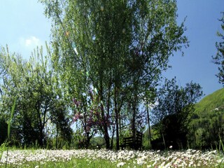 Casa per le vacanze San Marcello Pistoiese Ambiente 30