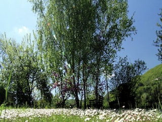 Ferienhaus San Marcello Pistoiese Umgebung 32