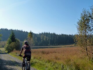 Vakantiehuis Monschau Omgeving 20