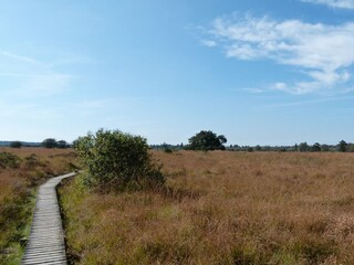 Vakantiehuis Monschau Omgeving 21