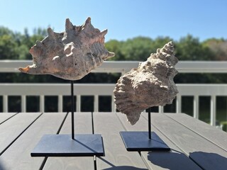 Appartamento Cadzand-Bad Caratteristiche 16