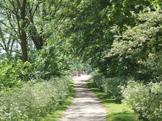 Appartamento Cadzand-Bad Ambiente 18