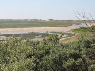 Appartamento Cadzand-Bad Ambiente 17