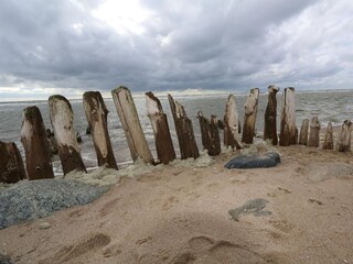 Impressionen
