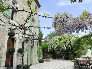 schöner Garten mit altem Bewuchs