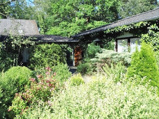 Blick auf das Haus (rechts das Zimmerfenster)