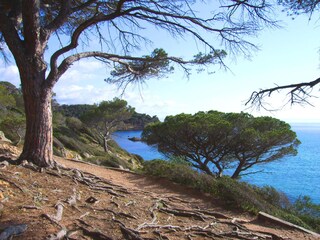 Appartamento Cogolin Ambiente 18