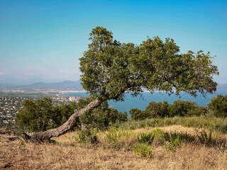 Saint-Aygulf - Fréjus - Saint-Raphael, Blick vom Hügel