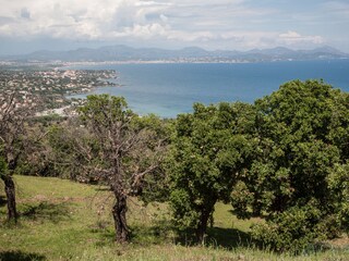 Esterel Gebirge, Blick vom Hügel