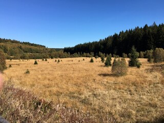 Maison de vacances Robertville Environnement 36