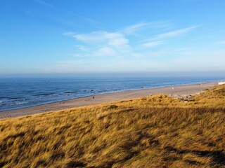 Vakantiehuis Callantsoog Omgeving 20