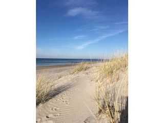 Ferienhaus Ribnitz-Damgarten Umgebung 23