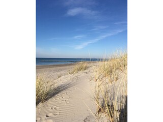 Ferienhaus Ribnitz-Damgarten Umgebung 25