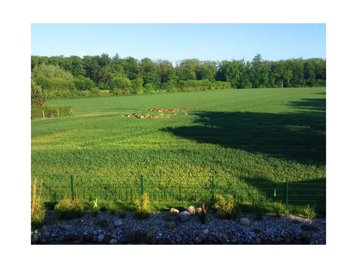 Blick vom Garten