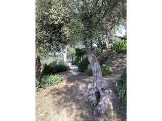 Maison de vacances Dolcedo Enregistrement extérieur 16