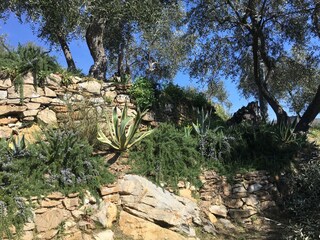 Casa de vacaciones Dolcedo Grabación al aire libre 10