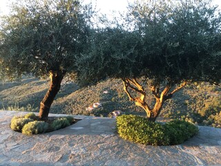 Holiday house Dolcedo Outdoor Recording 8