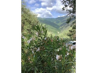 Maison de vacances Dolcedo Environnement 39